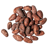 Cacao beans